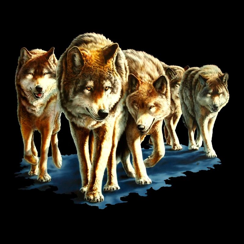 Pack