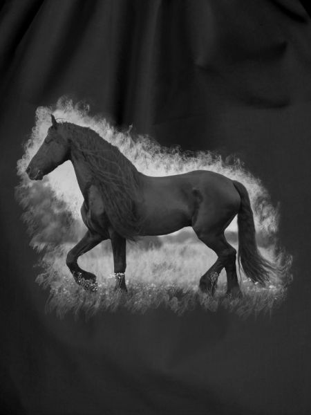 Cheval