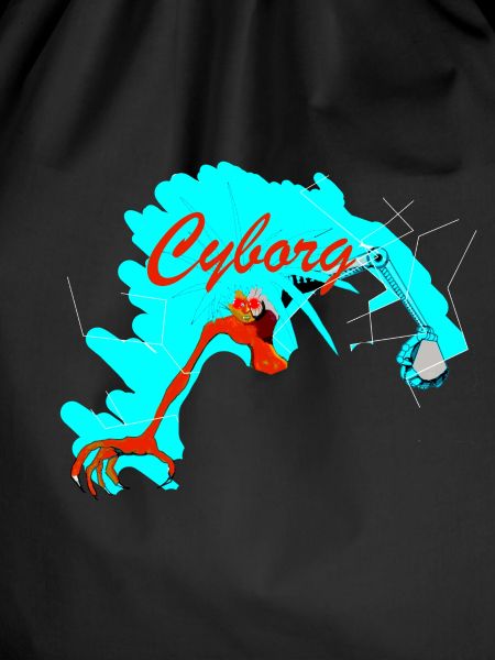 Cyborg