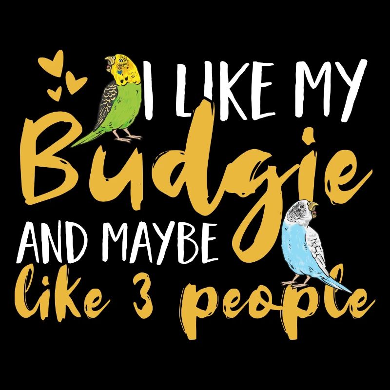 Budgerigar Parakeet Bird Pet Gift