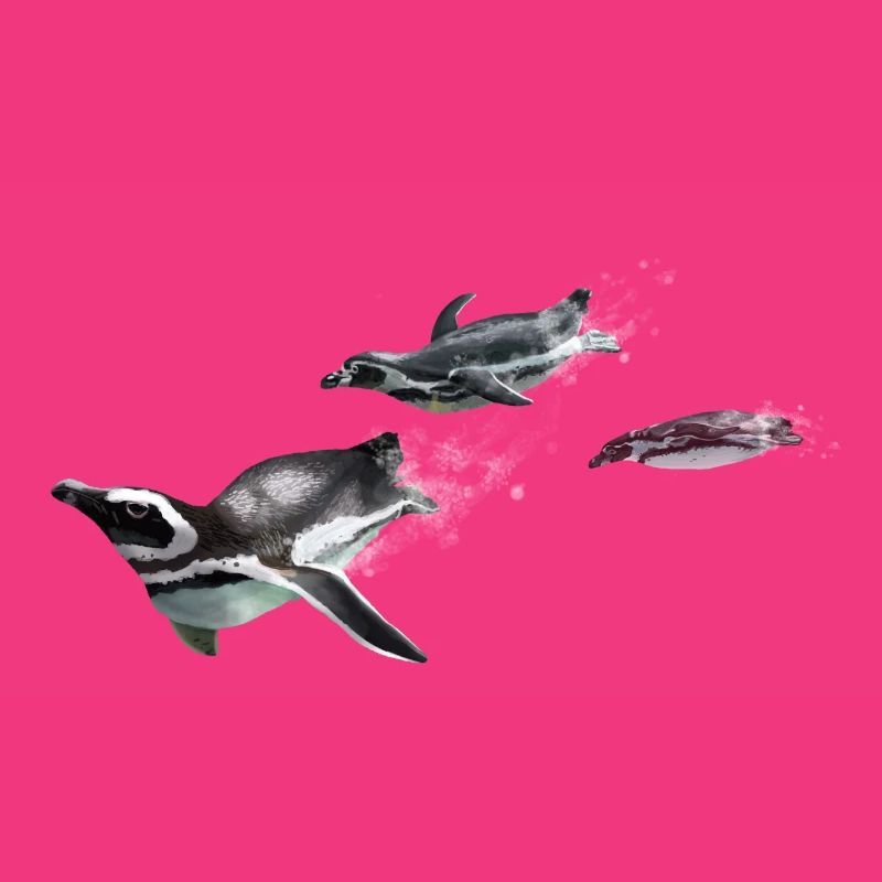 Three penguins