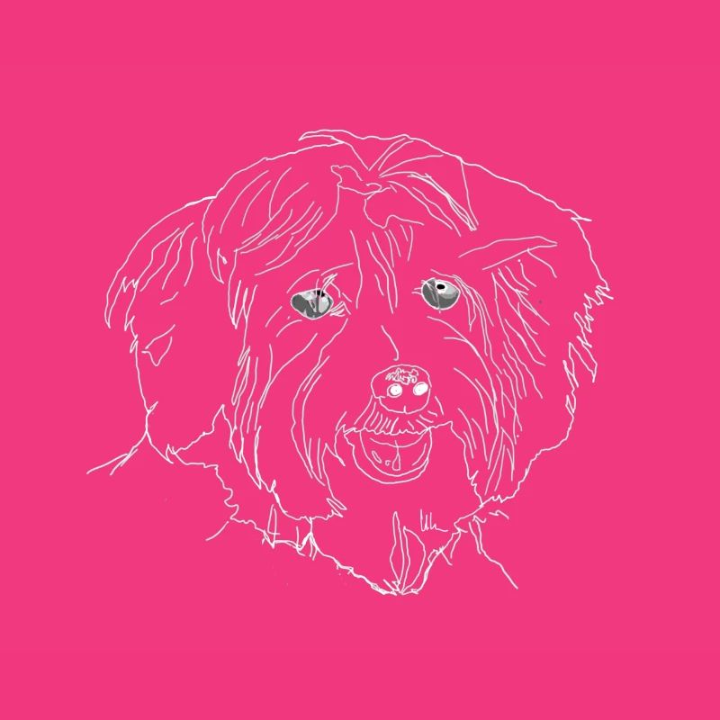 Havanese