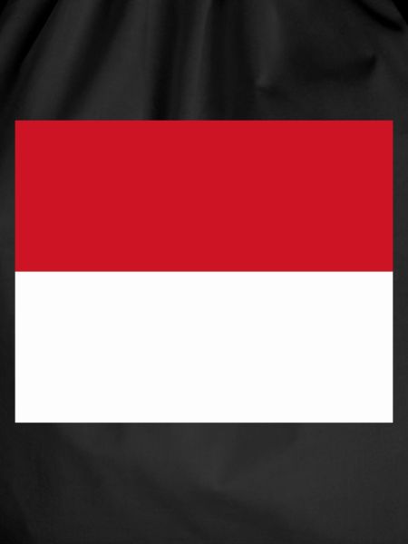 Monaco flag / Drapeau Monaco