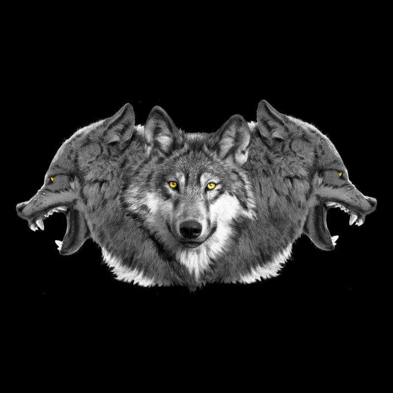 Wolf wolf pack