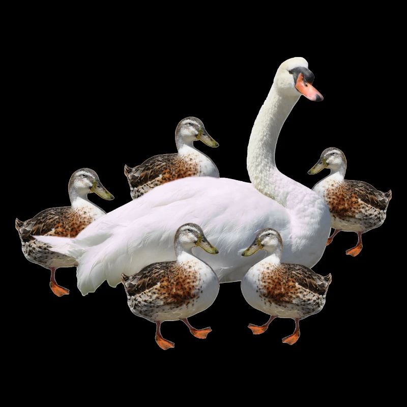 Danse du canard