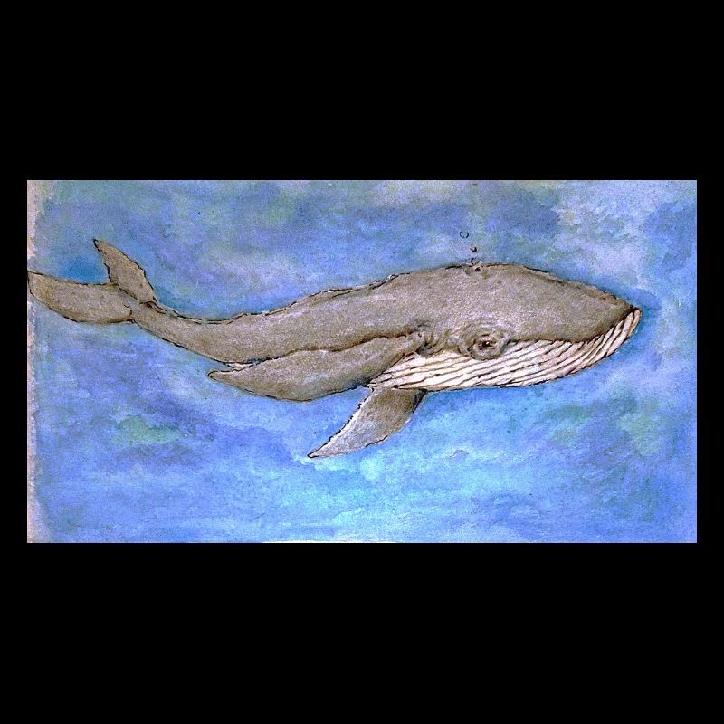 Whale