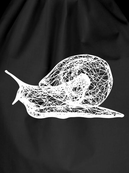 Snail - snail