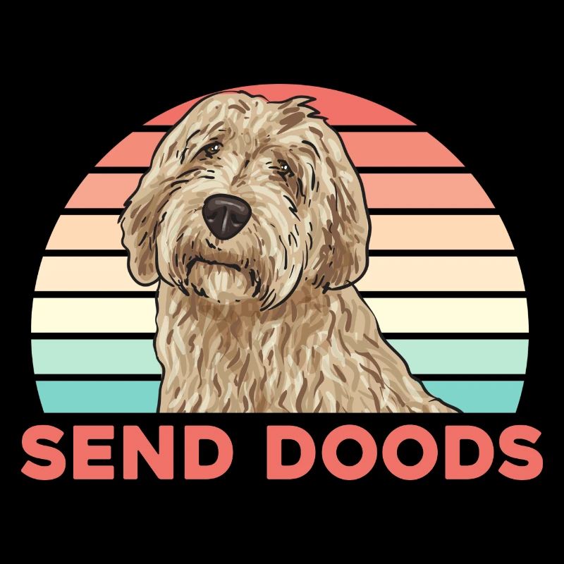 Labradoodle Hund