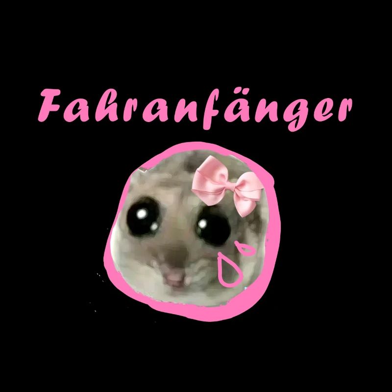 fahranfänger,hamster,fahrschule