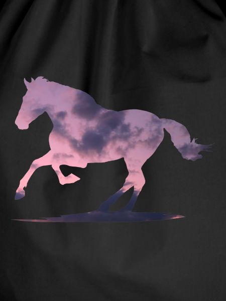 Cloud Horse