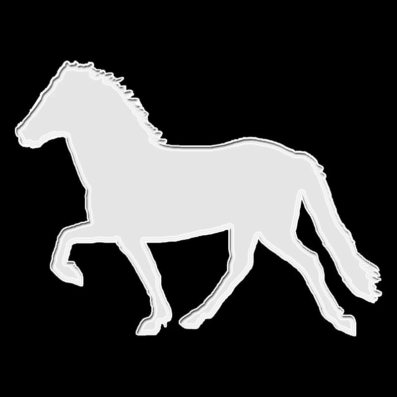 Isländer