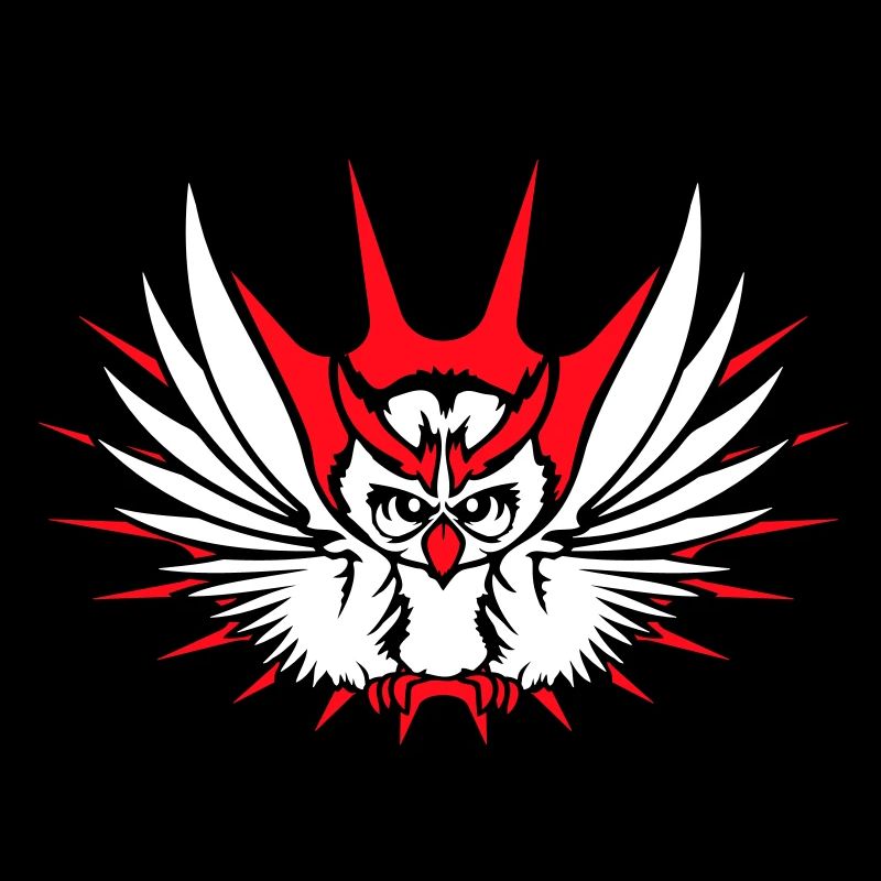 Owl Bird Eagle Owl Night Bird Barn Owl Flying Cool