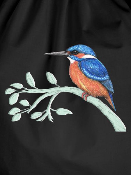The kingfisher