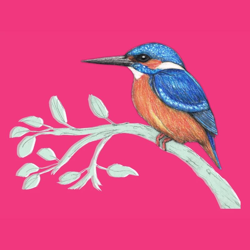 Der Eisvogel