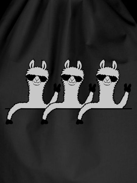 Team Comic Lamas