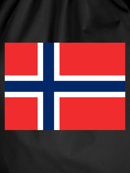 Norway Flag Flag