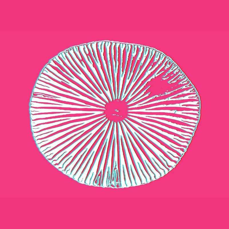 Champignons magiques psychédéliques impression 3D minimale