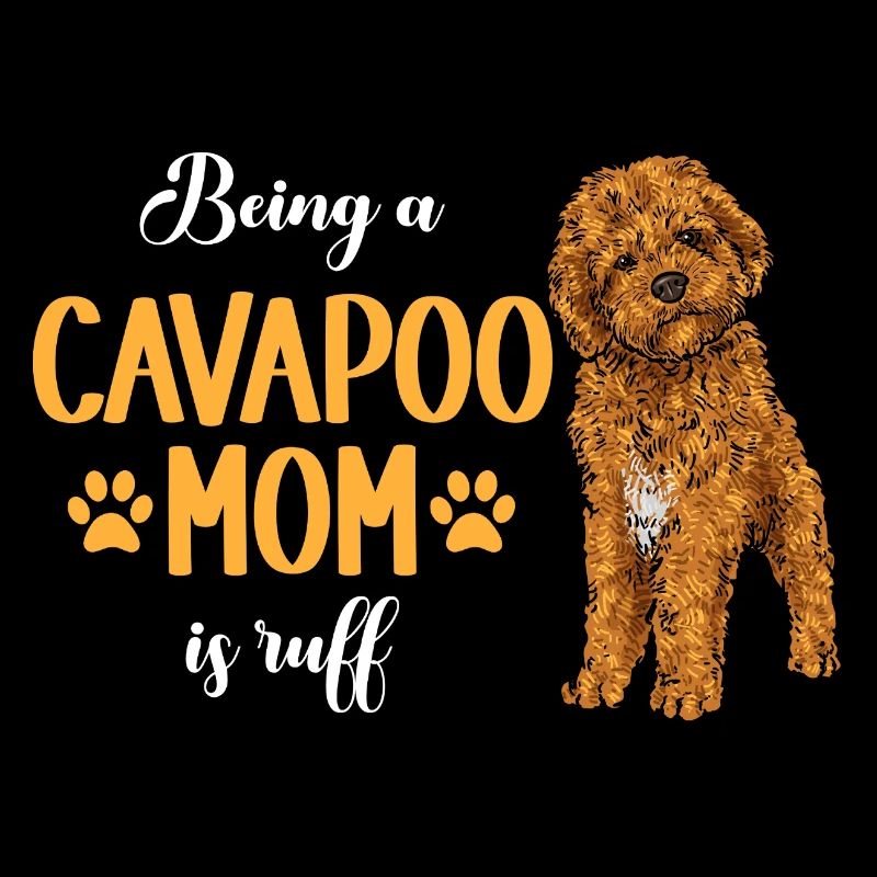 Cavapoo Cavoodle Capoodle Hund