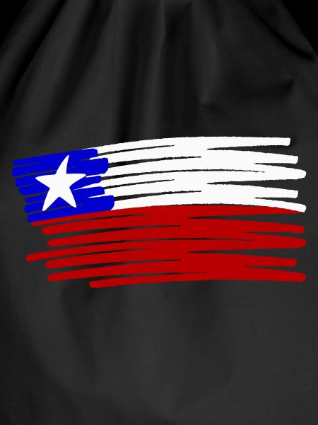 Chile flag painted painted