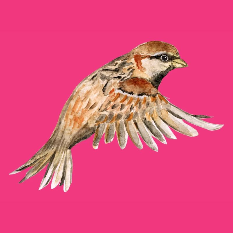 Flying sparrow