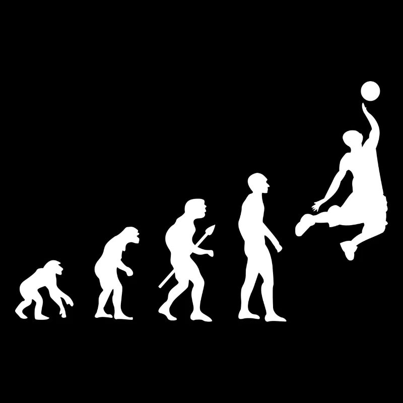 Basketball Evolution avec Basketballer