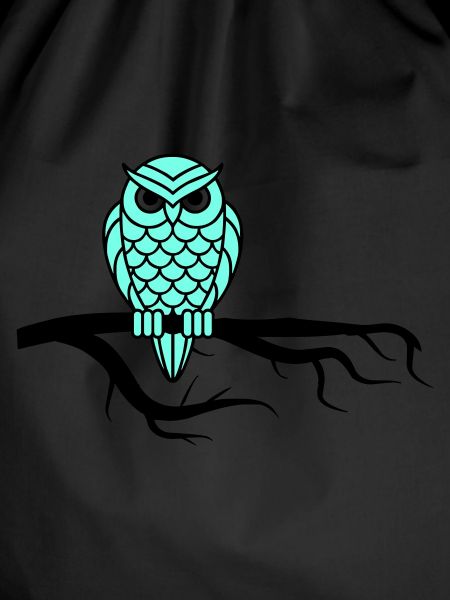 nightowl 01