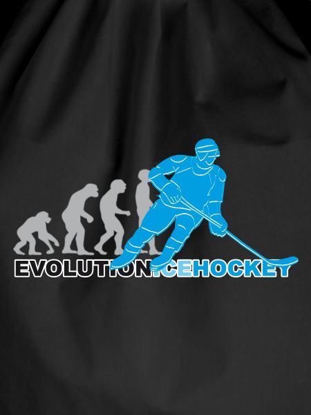 Evolution Ice Hockey, Eishockey