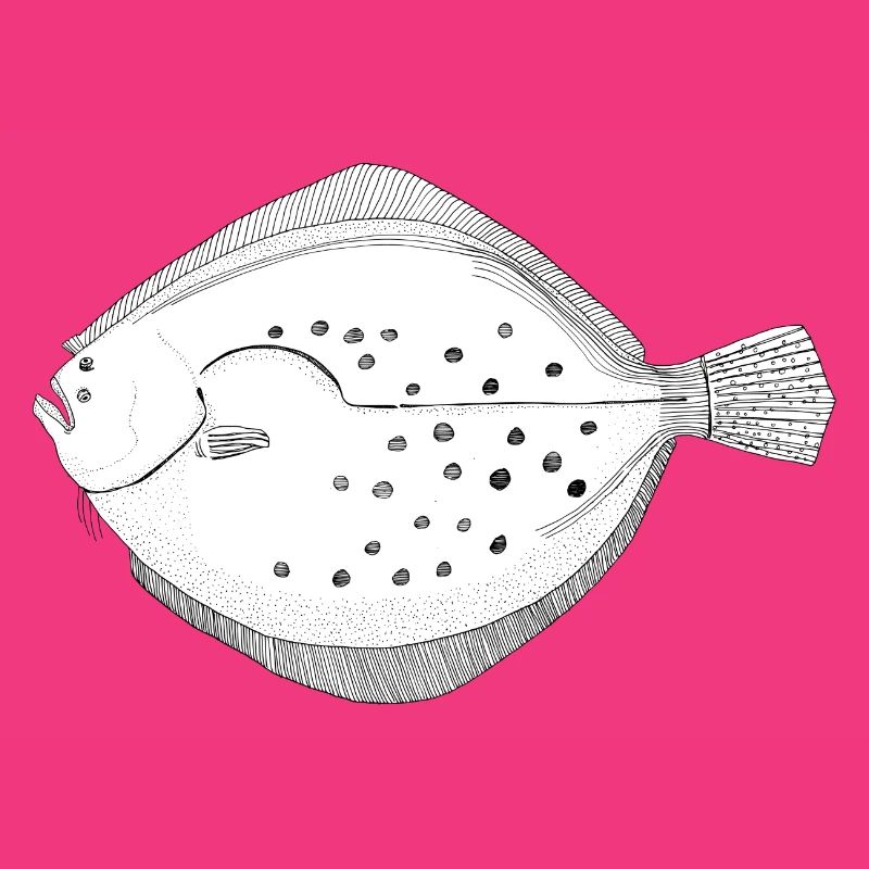 flatfish brilliance