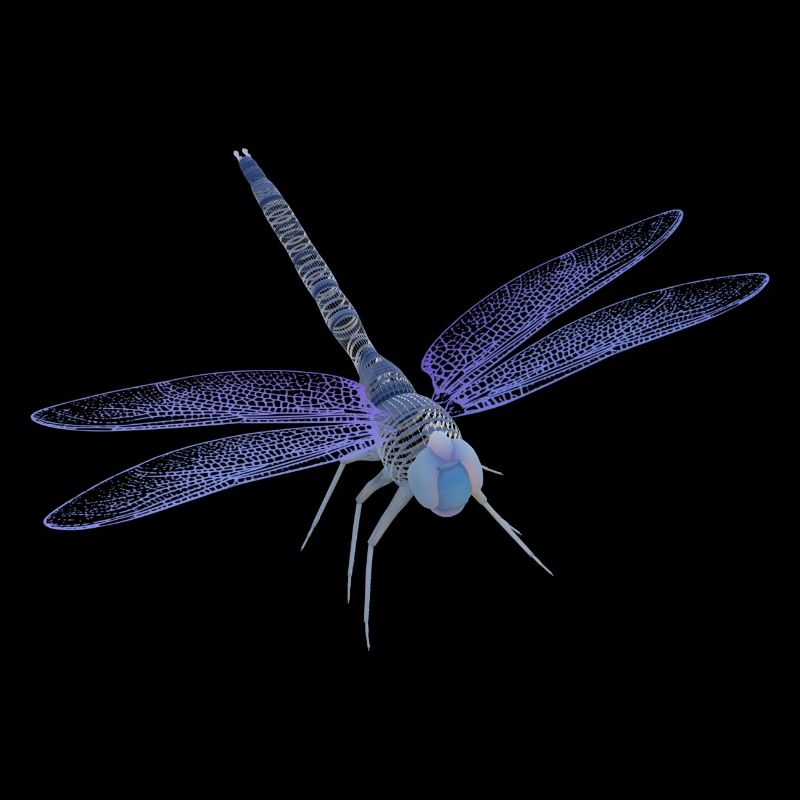 Libelle