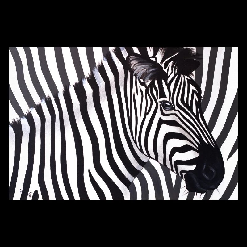 Poster Zebra 90x60 landscape