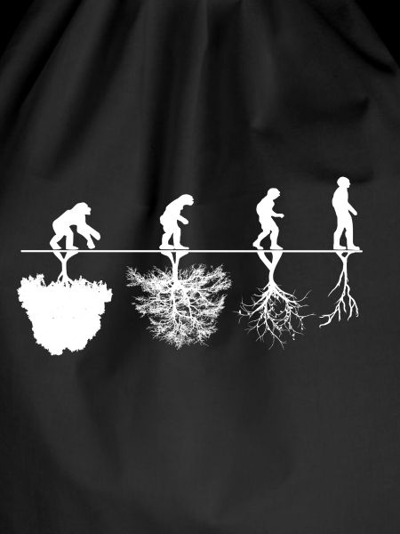 Evolution criticism