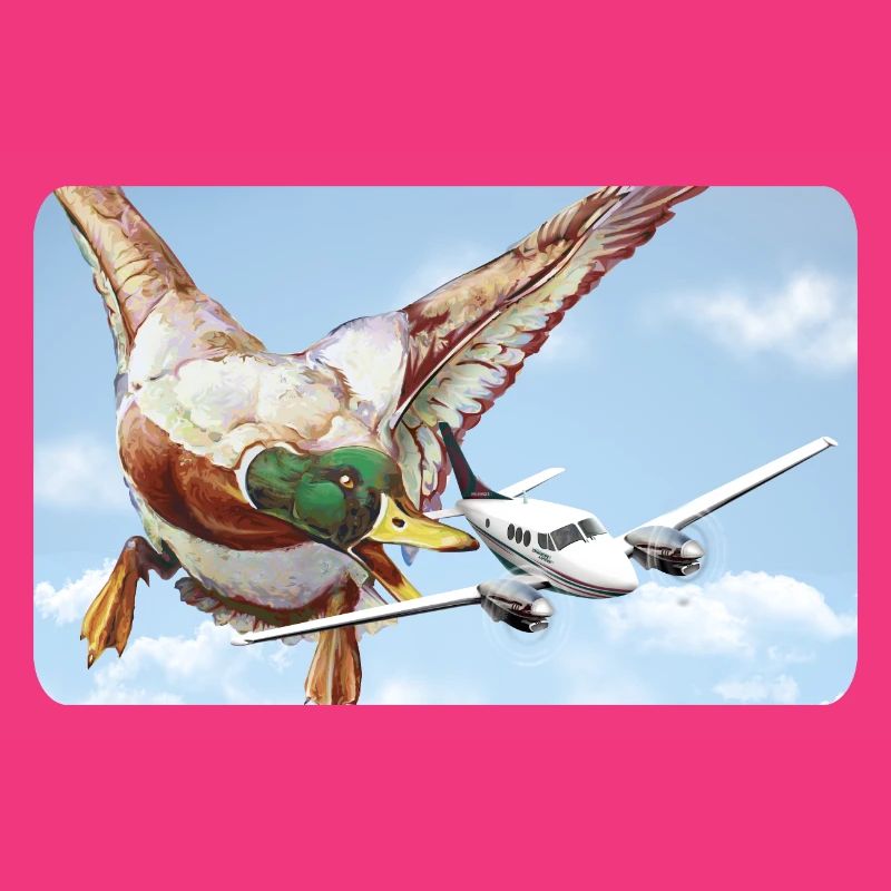 Duck attack (version 1 without speech bubble)