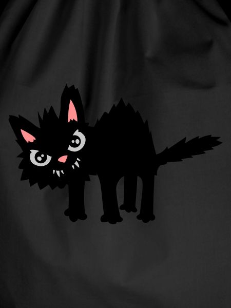 Funny Evil Cat