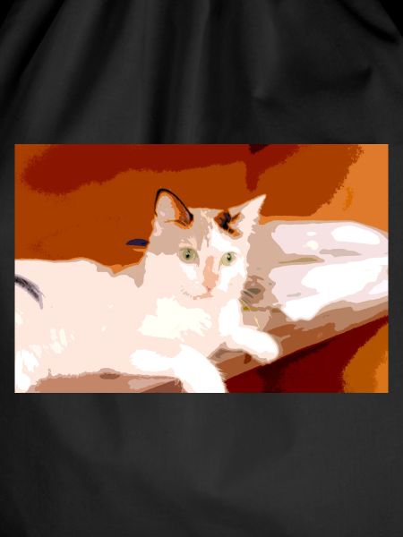 I love cats