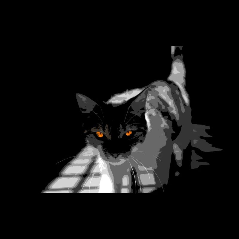 Die seltsame Katze