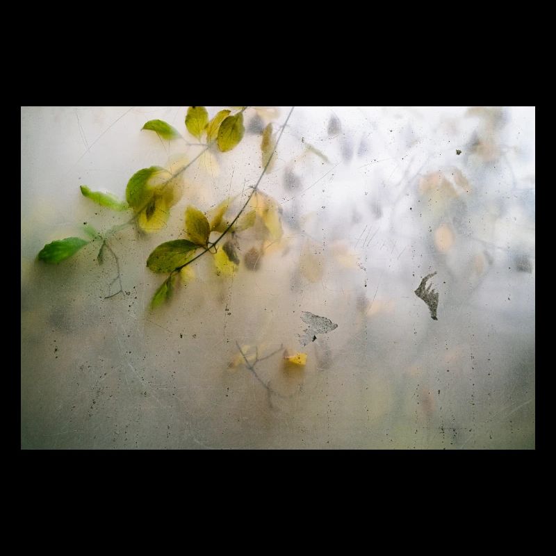 Nature behind glass