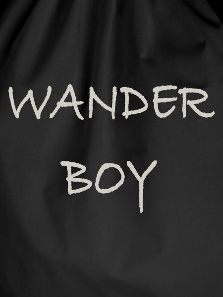 Wander Boy