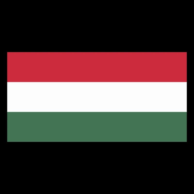Hungary flag / Drapeau Hongrie