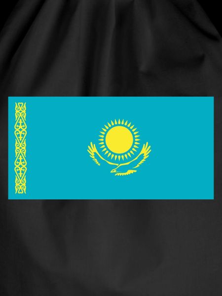 Kazakhstan Flag / Drapeau Kazakhstan