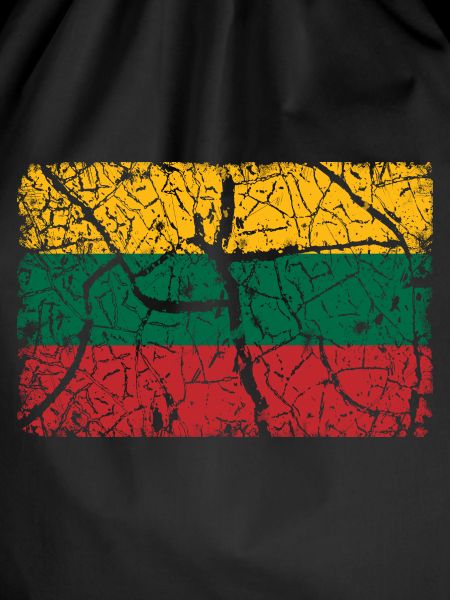 Lithuania Flag