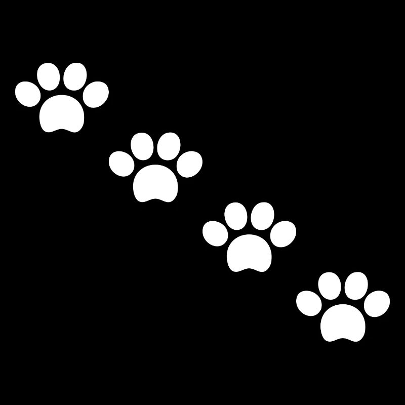 Pattes de chat en blanc