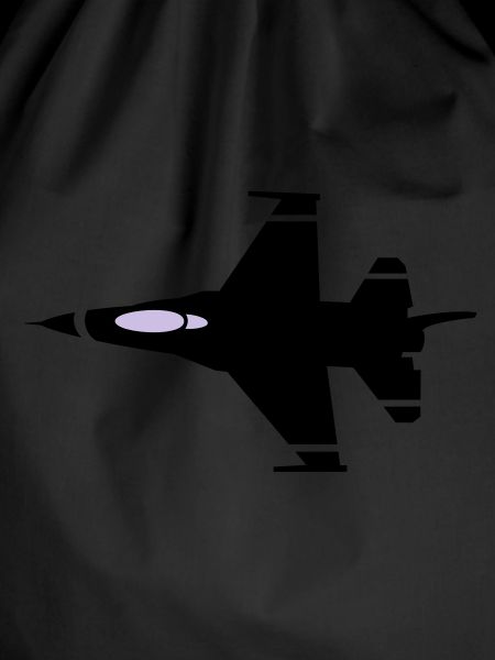 jet flying