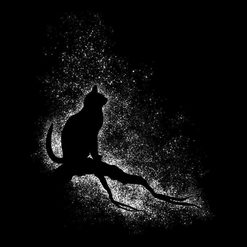 Chat et étoiles