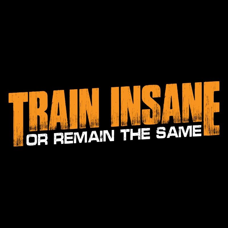 Train Insane or Remain The Same 14