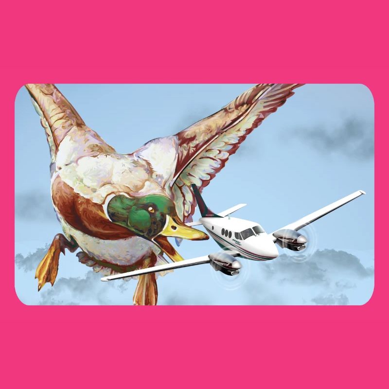 Duck Attack (Version 2 without speech bubble)