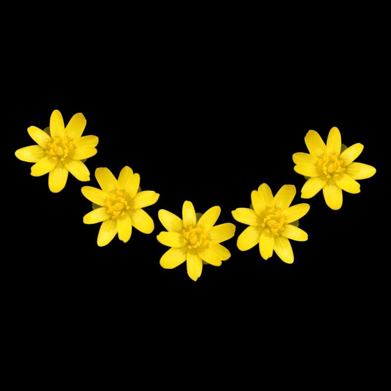 blumen gelb
