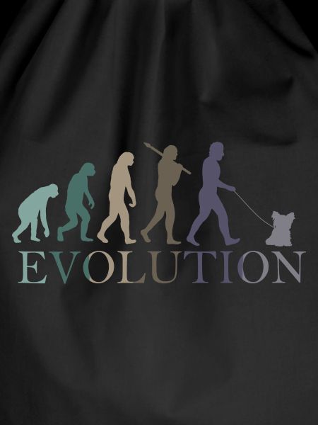 EVOLUTION yorkshire terrier