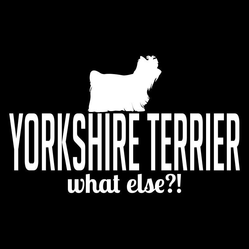 YORKSHIRE TERRIER what else