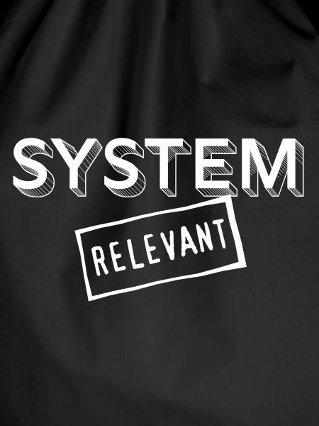 22 System-relevant