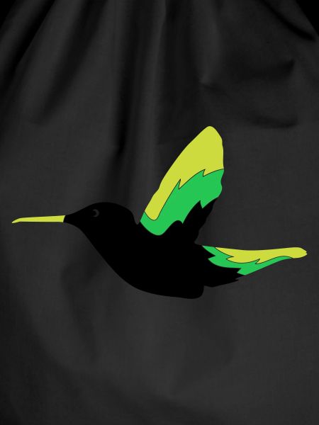 Hummingbird Bird